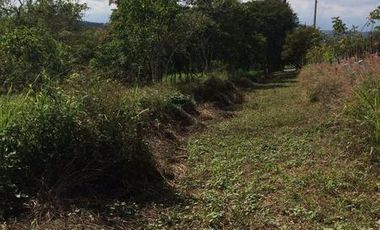 Terreno en venta ubicado en la carretera Las Trancas  Estanzuela