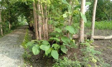 rumah dijual banyuroto nanggulan