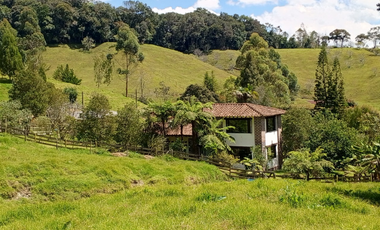 finca en venta en vía pantanillo. Cod V400440