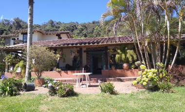 finca en venta en vía pantanillo. Cod V400440