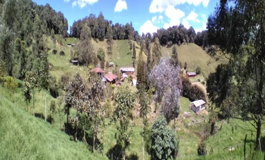 finca en venta en vía pantanillo. Cod V400440