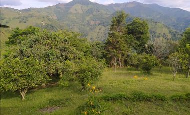 Venta de finca en Ebejico