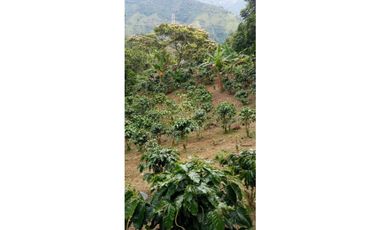 Venta de finca en Ebejico