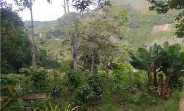 Venta de finca en Ebejico