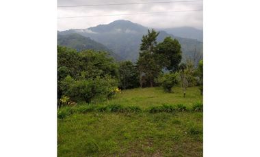 Venta de finca en Ebejico