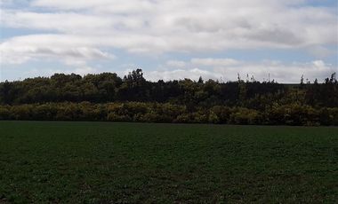 Agrícola en Venta en FUNDO SECTOR DICAO