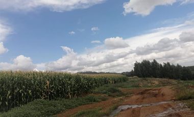 Agrícola en Venta en FUNDO SECTOR DICAO