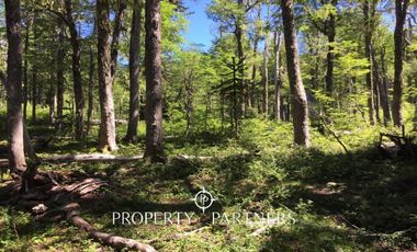 Pucon, Llancalil Alto, campo ideal para conservación