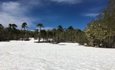 Pucon, Llancalil Alto, campo ideal para conservación
