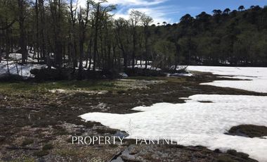 Pucon, Llancalil Alto, campo ideal para conservación