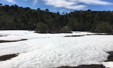 Pucon, Llancalil Alto, campo ideal para conservación