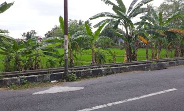 Investasi Tanah Cocok Untuk Penginapan 8 Menit ke Bandara Adisucipto Yogyakarta