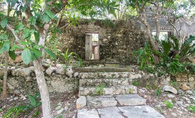 Propiedad con 2 cenotes en venta en Tixcacalcupul