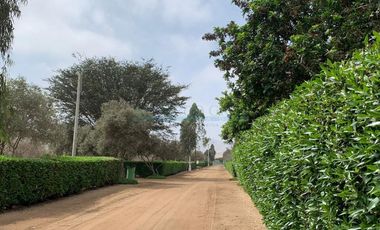 Terrenos Residenciales Venta Proyecto Condominio El Olivar Pampa La Quipa - PUCUSANA