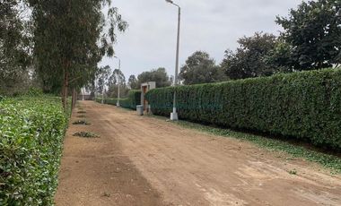 Terrenos Residenciales Venta Proyecto Condominio El Olivar Pampa La Quipa - PUCUSANA
