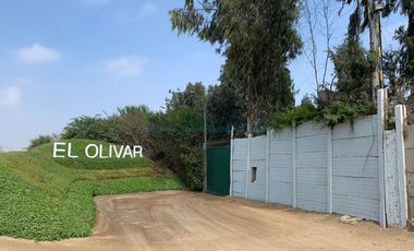 Terrenos Residenciales Venta Proyecto Condominio El Olivar Pampa La Quipa - PUCUSANA