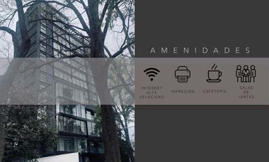¡Oficinas en Renta en Tipo CO-WORKING! a unas Cuadra de Chapultepec.