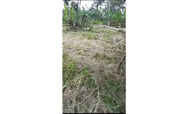 VENDO TERRENO EN LA CHORRERA EL CACAO DE CAPIRA 2 HECTREAS