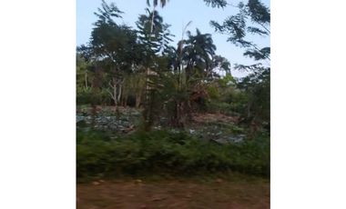 VENDO TERRENO EN LA CHORRERA EL CACAO DE CAPIRA 2 HECTREAS