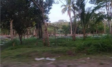 VENDO TERRENO EN LA CHORRERA EL CACAO DE CAPIRA 2 HECTREAS