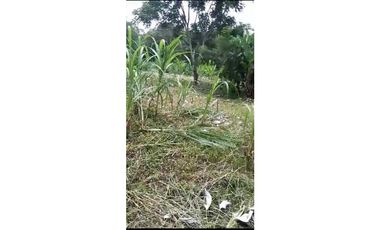 VENDO TERRENO EN LA CHORRERA EL CACAO DE CAPIRA 2 HECTREAS