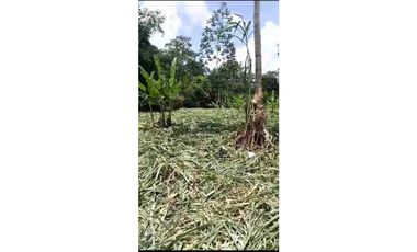 VENDO TERRENO EN LA CHORRERA EL CACAO DE CAPIRA 2 HECTREAS