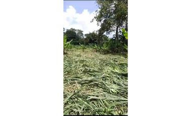 VENDO TERRENO EN LA CHORRERA EL CACAO DE CAPIRA 2 HECTREAS