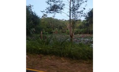 VENDO TERRENO EN LA CHORRERA EL CACAO DE CAPIRA 2 HECTREAS