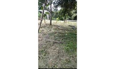 VENDO TERRENO EN LA CHORRERA EL CACAO DE CAPIRA 2 HECTREAS