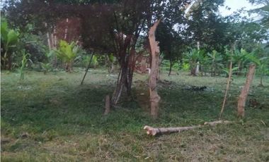 VENDO TERRENO EN LA CHORRERA EL CACAO DE CAPIRA 2 HECTREAS