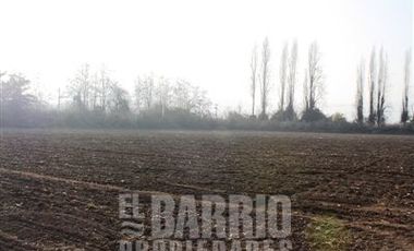Sitio en Arriendo en Liray/ Lo Pinto