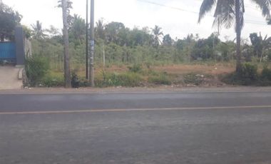 Roadside Land in Sikur East Lombok