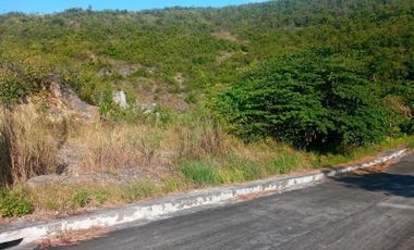 150 SQM Affordable Lot for Sale in Greenville Heights Consolacion Cebu with view