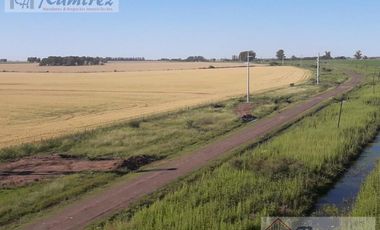 Campo en Venta 62 Hectáreas - Basavilbaso, Entre Rios
