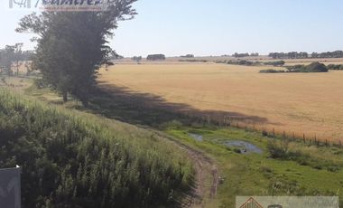 Campo en Venta 62 Hectáreas - Basavilbaso, Entre Rios