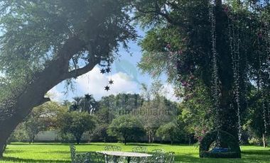 QuintaTicumán Morelos, 4,000m2 de Libertad, Jardín Árboles y Contemplación Venta