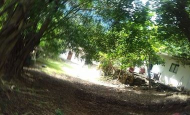 Terreno en Venta en Tamazunchale