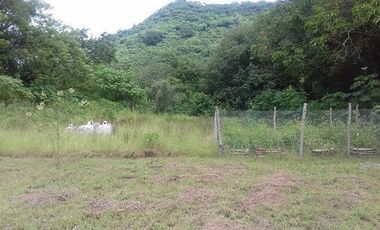 Terreno en Venta en Tamazunchale