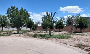 TERRENO EN VENTA FRACCIONAMIENTO LA BARRANCA