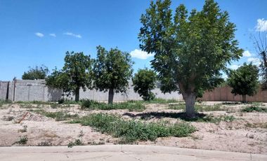 TERRENO EN VENTA FRACCIONAMIENTO LA BARRANCA