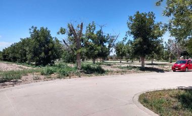 TERRENO EN VENTA FRACCIONAMIENTO LA BARRANCA