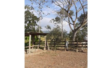 En Venta Finca Ganadera En Manabi 97 hectáreas