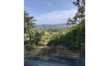 En Venta Finca Ganadera En Manabi 97 hectáreas