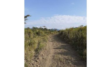 En Venta Finca Ganadera En Manabi 97 hectáreas