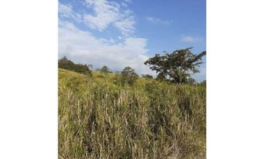 En Venta Finca Ganadera En Manabi 97 hectáreas