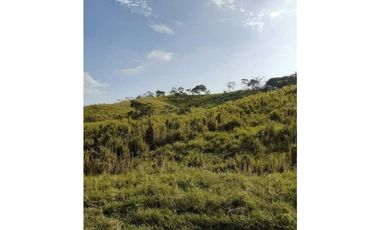 En Venta Finca Ganadera En Manabi 97 hectáreas