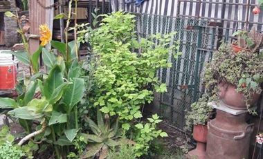 CASA EN VENTA EN FRANCISCO ALVAREZ