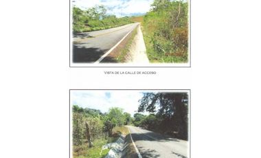VENDO FINCA DE 22 HECTAREAS RENACIMIENTO
