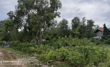 3840𝙨𝙦𝙢 𝘼𝙡𝙤𝙣𝙜 𝘽𝙧𝙜𝙮 𝙍𝙤𝙖𝙙 𝙏𝙖𝙬𝙖𝙡𝙖 𝙋𝙖𝙣𝙜𝙡𝙖𝙤 𝘽𝙤𝙝𝙤𝙡 | 𝘽𝙊𝙃𝙊𝙇𝘼𝙉𝘼 𝙍𝙀𝘼𝙇𝙏𝙔