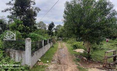 3840𝙨𝙦𝙢 𝘼𝙡𝙤𝙣𝙜 𝘽𝙧𝙜𝙮 𝙍𝙤𝙖𝙙 𝙏𝙖𝙬𝙖𝙡𝙖 𝙋𝙖𝙣𝙜𝙡𝙖𝙤 𝘽𝙤𝙝𝙤𝙡 | 𝘽𝙊𝙃𝙊𝙇𝘼𝙉𝘼 𝙍𝙀𝘼𝙇𝙏𝙔